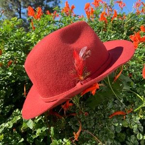 wide brim feathered fedora